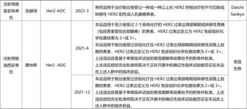 盤點(diǎn)國內(nèi)已上市ADC與雙抗藥物全景圖及國內(nèi)貿(mào)易代理格局